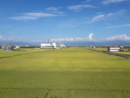 圖片 2