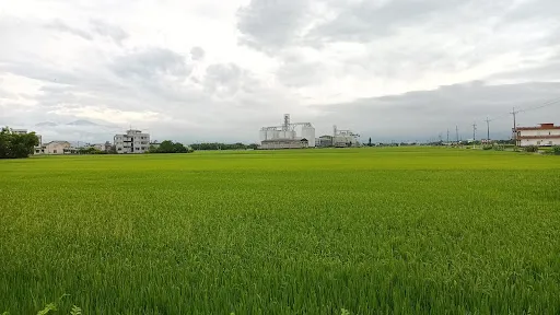 圖片 2
