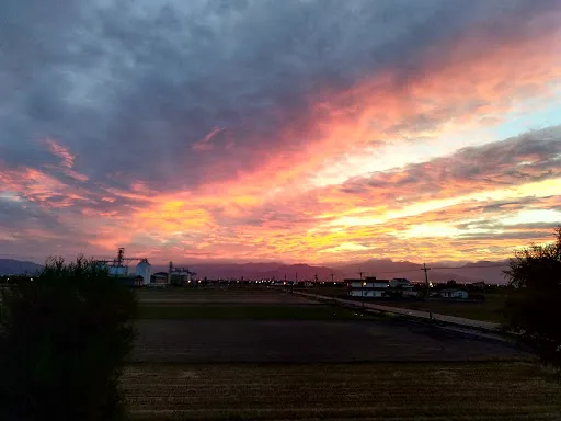 圖片 2